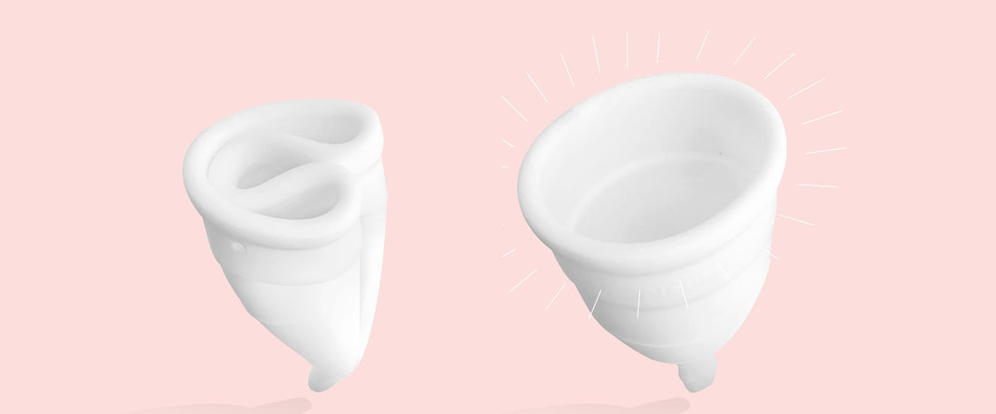 Onde encontrar Coletor Menstrual com dobras?