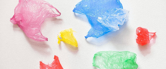 10 atitudes sustentáveis para adotar em 2022