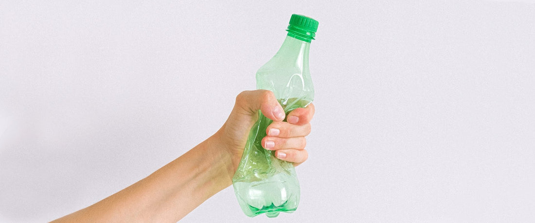 5 atitudes sustentáveis como forma de celebrar o dia mundial do meio ambiente