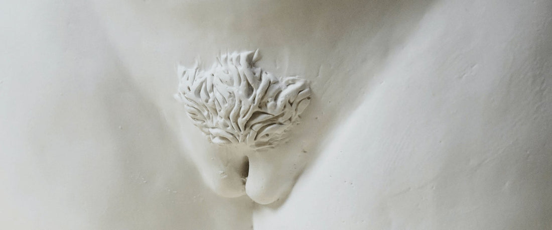 Você sabe a importância dos pelos pubianos para o corpo humano?