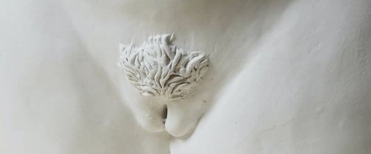 Você sabe a importância dos pelos pubianos para o corpo humano?