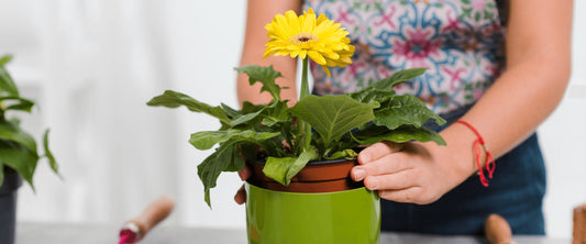 Plantar a lua: Conheça melhor o poderoso ritual com o sangue de menstruação